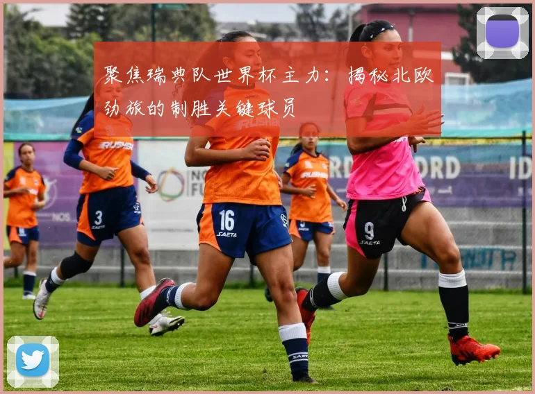 聚焦瑞典队世界杯主力：揭秘北欧劲旅的制胜关键球员